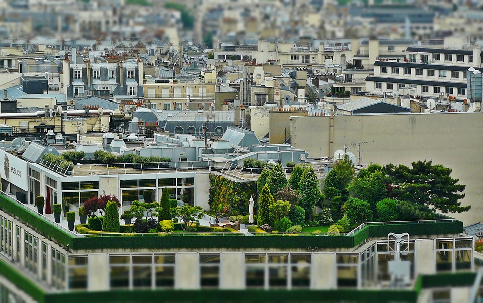 roof terrace